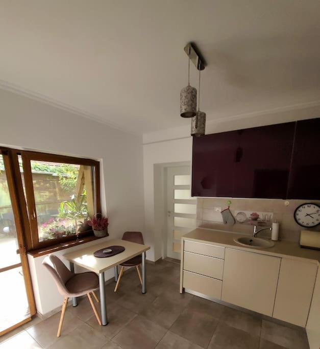 Apartament Individual La Casa Parter Appartement Timişoara Buitenkant foto